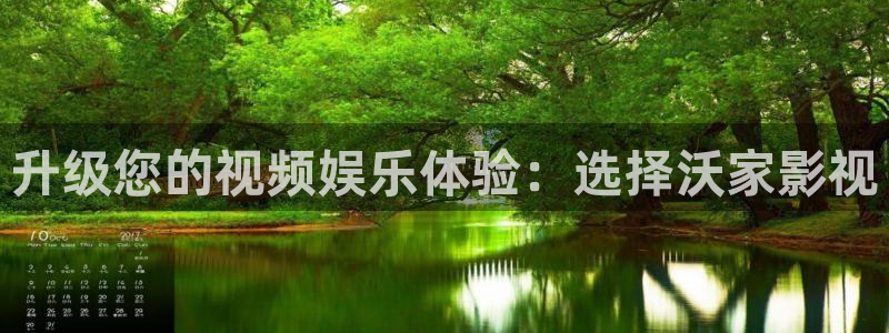 伦理影片在线观看电影免费：升级您的视频娱乐体验：选择沃家影视