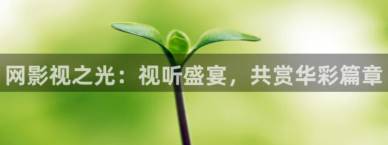 神马在线伦理影院：网影视之光：视听盛宴，共赏华彩篇章
