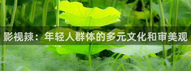 韩国电影伦理视频：影视辣：年轻人群体的多元文化和审美观