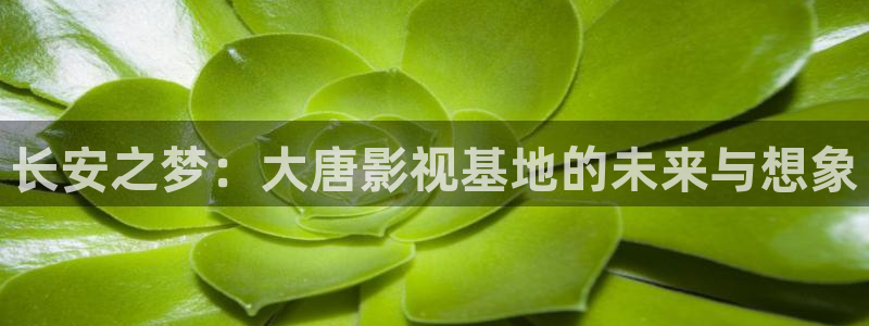 大陆伦理视频在线观看：长安之梦：大唐影视基地的未来与想象
