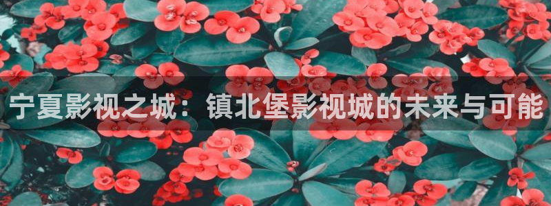 天天伦理影院：宁夏影视之城：镇北堡影视城的未来与可能