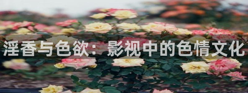 日韩伦理影院在线观看：淫香与色欲：影视中的色情文化