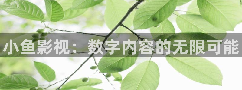 大陆伦理视频：小鱼影视：数字内容的无限可能