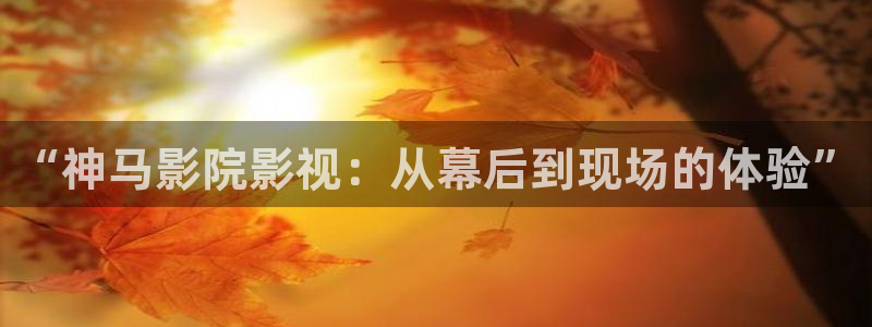 东南亚伦理影院：“神马影院影视：从幕后到现场的体验”