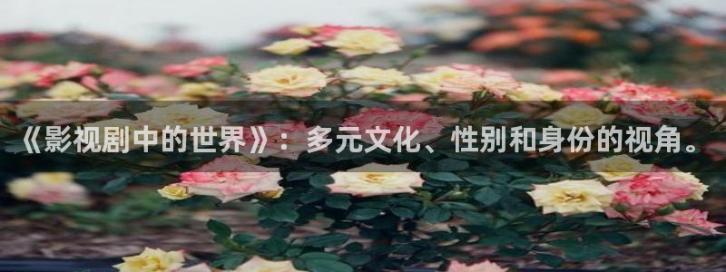 欧美伦理影院在线观看：《影视剧中的世界》：多元文化、性别和身份的视角。