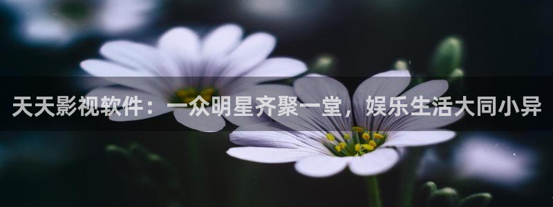 神马在线伦理影院：天天影视软件：一众明星齐聚一堂，娱乐生活大同小异