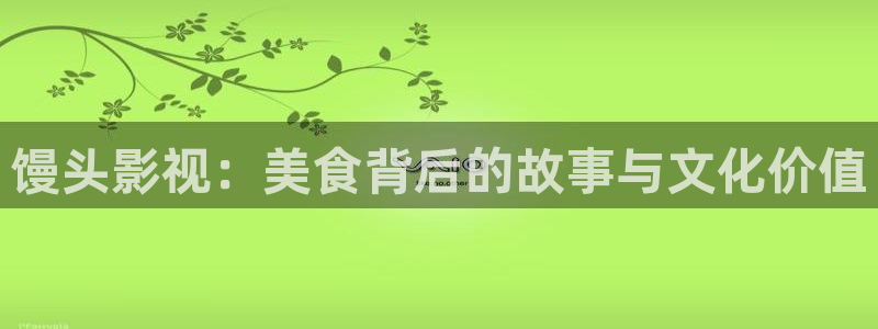 国产伦理视频大全：馒头影视：美食背后的故事与文化价值
